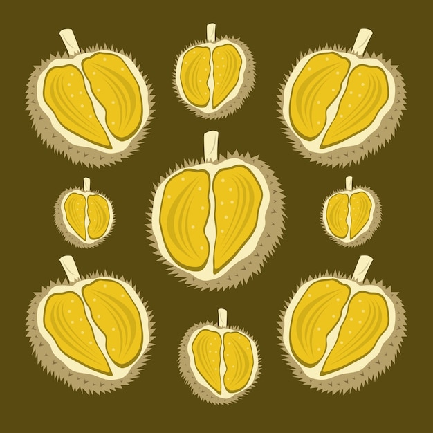 Exotic durian fruit vector illustration
