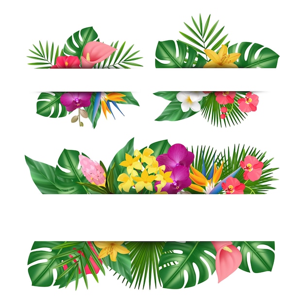 Баннер экзотических цветов. тропические листья, растения джунглей и цветочные пустые листовки векторный набор. иллюстрация цвести, ветка зеленая и цветы