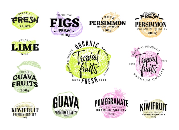 Vector exotic food labels set of different colored tropical fruits in sketch style isolated