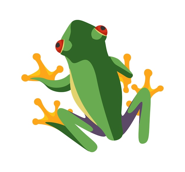 Exotic Frog Reptile Amphibian illustration