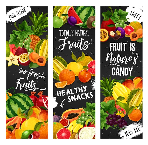 Vector exotic fruit and garden berry blackboard banners