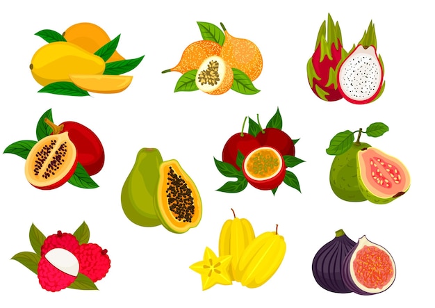 Vector exotic fruit isolated icon set with tropical mango, papaya, carambola, passion fruit, lychee, dragon fruit, fig, guava, tamarillo. food and juice packaging design