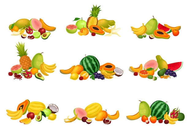 Vector exotic fruits composition with pitaya and papaya vector set