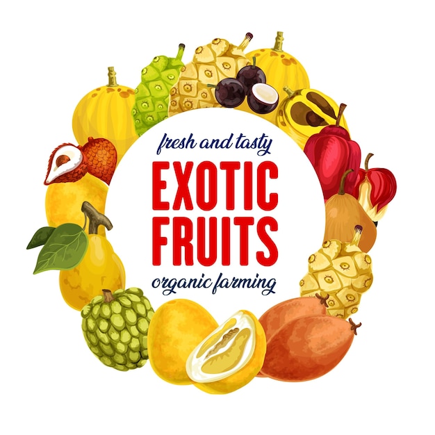 Vector exotic fruits icon for grocery shop or farm market