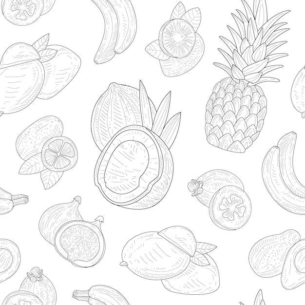 Экзотические фрукты Бесшовный рисунок Тропические растения Ручно нарисованная монохромная векторная иллюстрация на белом фоне