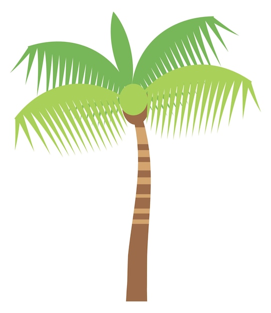 Exotic green palm tree plant color icon isolated on white background