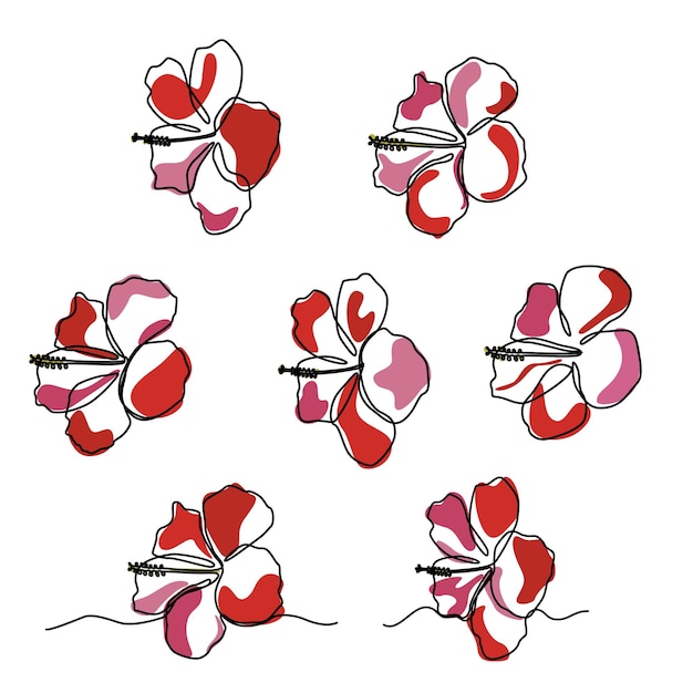 Fiore di ibisco esotico in un disegno a tratteggio