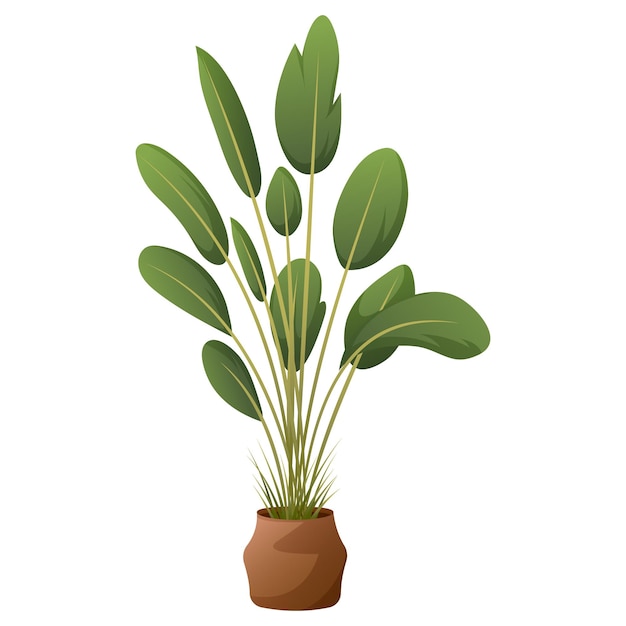 Exotic house plant with leaves in a pot Vector image for decoration stickers social networks