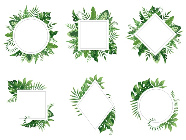 Vector exotic leaf frame. spring leaves card, tropical tree frames and vintage floral jungle border isolated  set