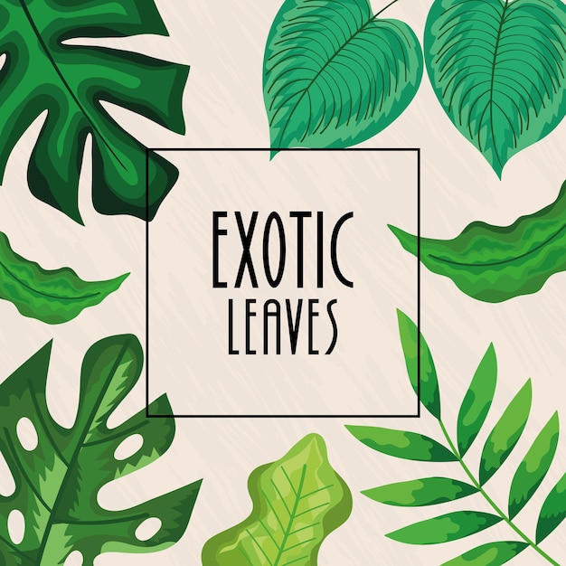 Exotic leaves lettering in frame