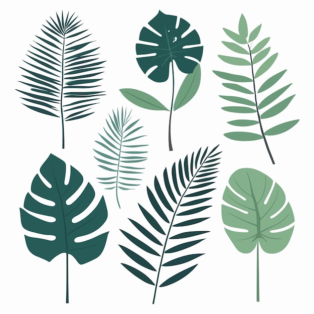 Vector exotic leaves tropical leaf collection vector illustration botanical art