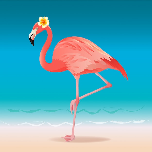 Exotic pink flamingo walking on the hot summer beach. Pink flamingo vector illustration.