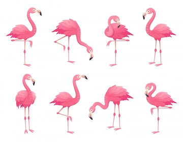 Premium Vector | Exotic pink flamingos birds.