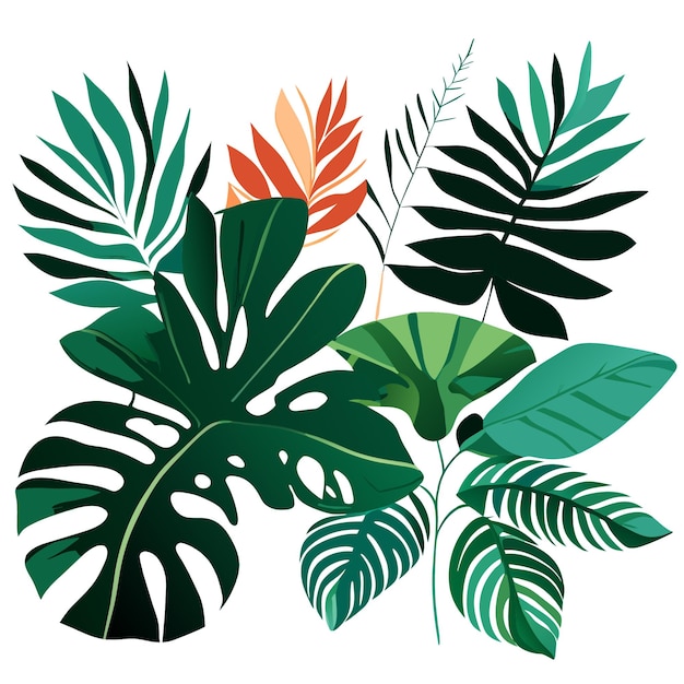 Vector exotic plants leaves on an isolated white background