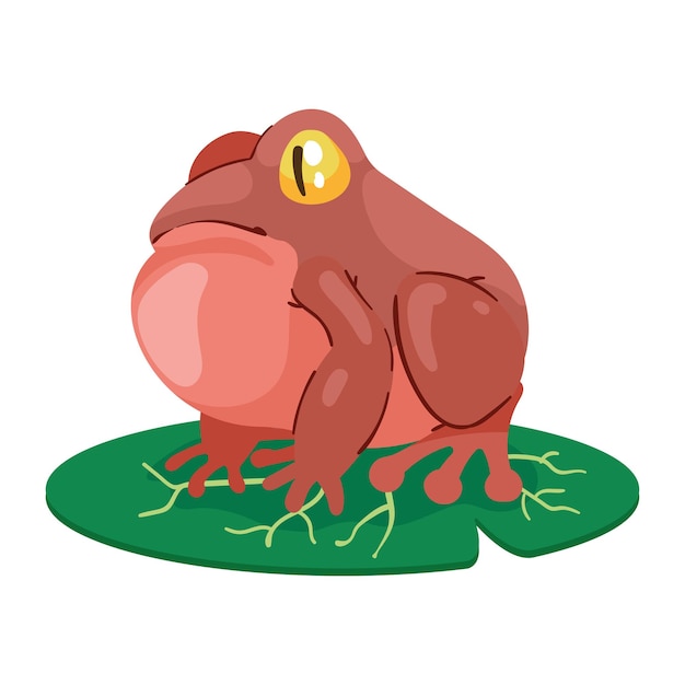 Vector exotic red frog floating in leaf