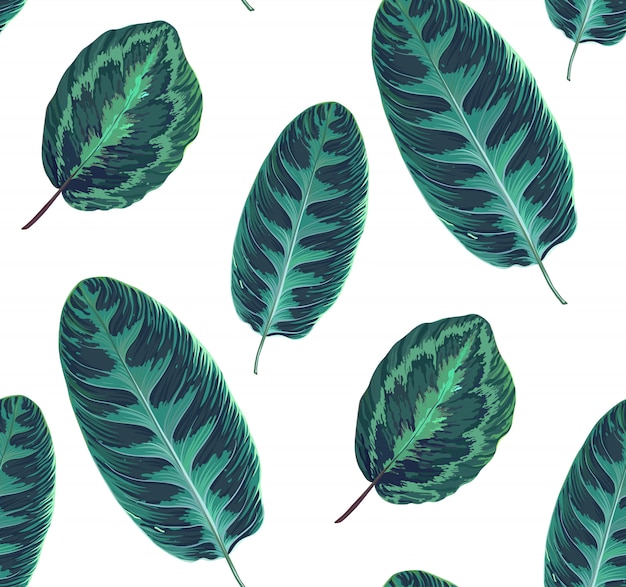 Exotic seamless pattern with leaves of tropical jungle plants