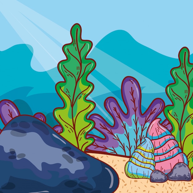 Vector exotic seaweed plants with shells and stone