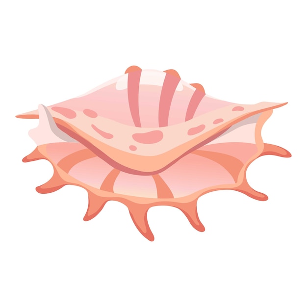 Exotic shell icon Cartoon illustration of exotic shell vector icon for web