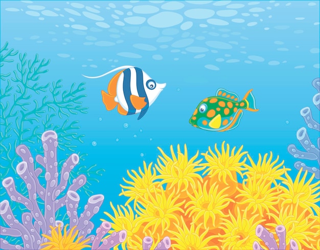 熱帯の南の海の色とりどりの珊瑚礁の青い海で泳ぐエキゾチックな小魚