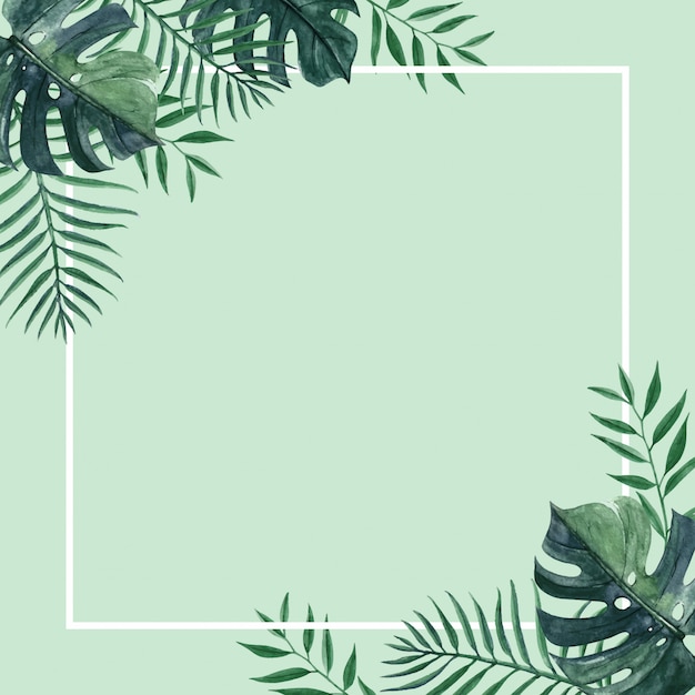 Premium Vector | Exotic summer frame card with greenery palm leaf and ...