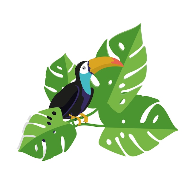 이국적인 큰부리새가 열대 몬스테라의 가지에 앉아 있습니다.