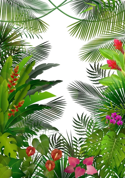 Exotic tropical forest background