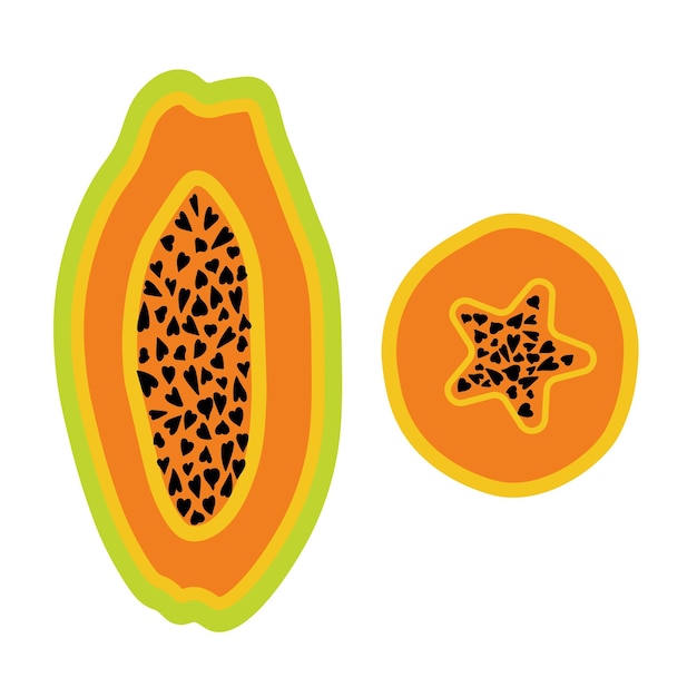 Vettore esotico frutto tropicale papaya oggetto isolato con illustrazione vettoriale perfetto per stampe poster tag ecc