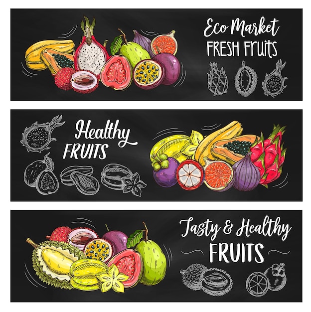 Vector exotic tropical fruits food farm market banners