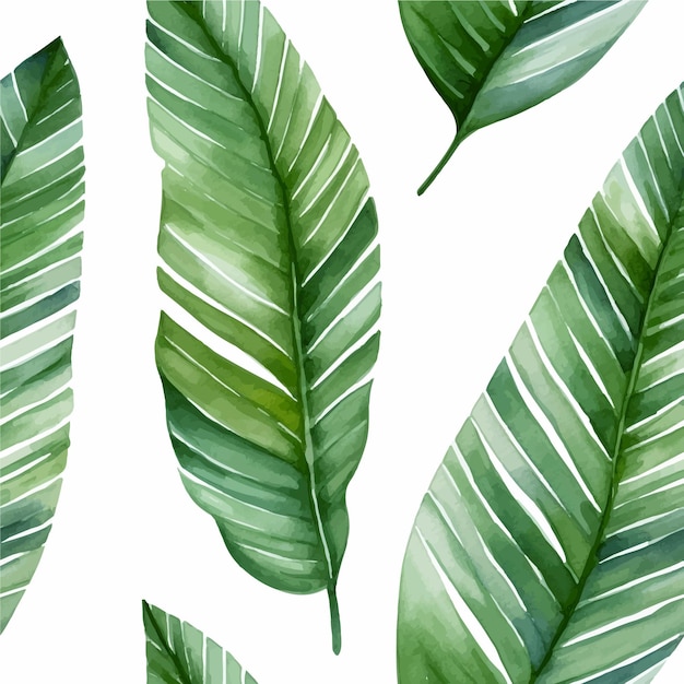 Vector exotic tropical leaf watercolor seamless pattern vector