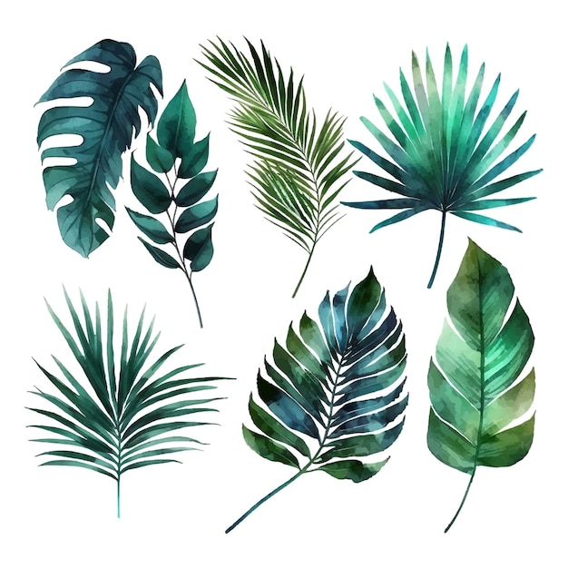Экзотические тропические листья Нарисованная рукой иллюстрация листьев акварелью