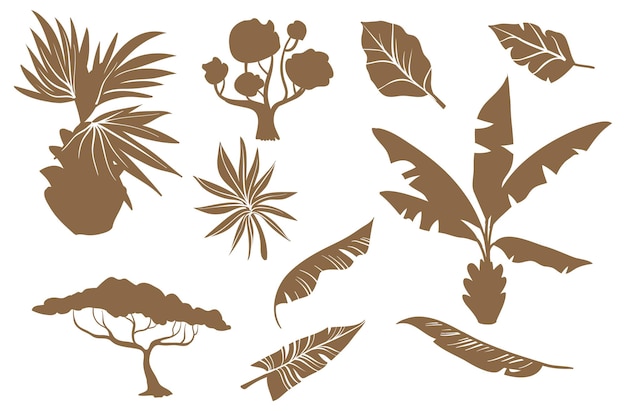 Exotic Vegetation Silhouettes Collections