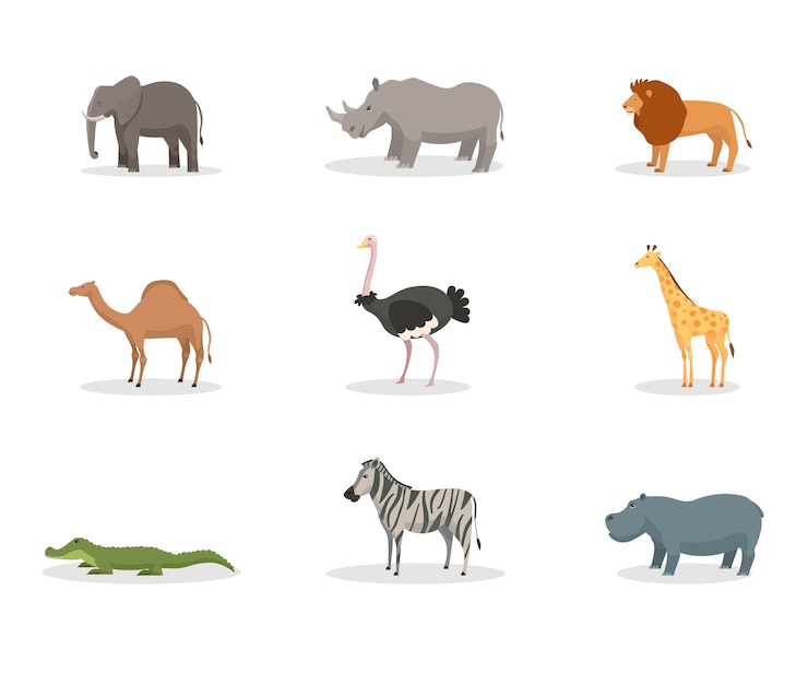 Vector エキゾチックな野生動物フラットイラストセット。アフリカのジャングル動物、種の多様性、熱帯の自然保護区、動物園、野生生物保護区。象、サイの哺乳類、ライオン、ワニ