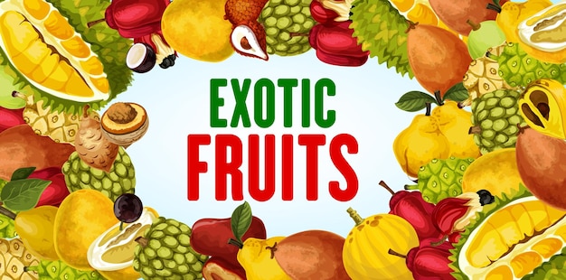 Exotisch fruit en tropische bessen frame banner