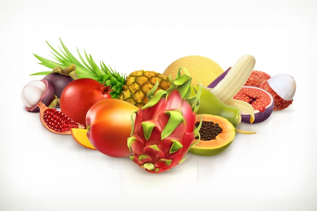 Exotisch fruit. Sappig fruit en bessen vector illustratie geïsoleerd