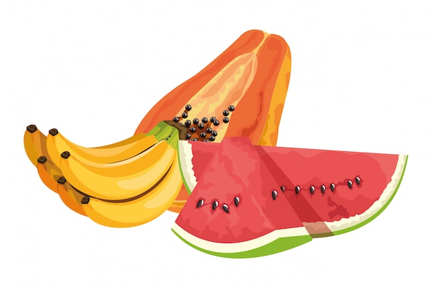 Exotisch tropisch fruit pictogram cartoon