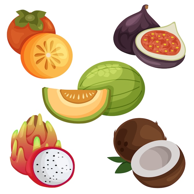 Vector exotische fruit element ingesteld illustratie