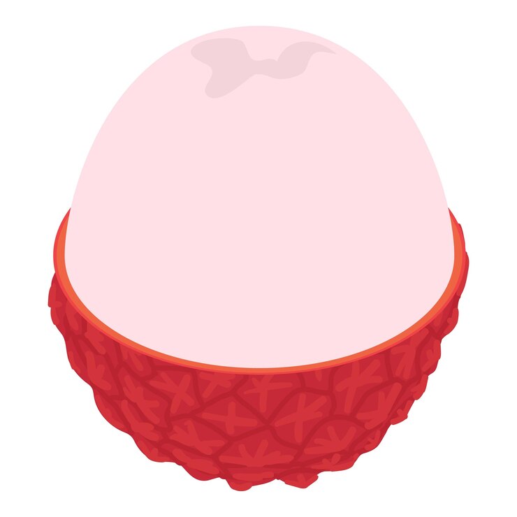 Vector exotische lychee vrucht icoon isometrisch van exotische lichee vrucht vector icoon voor webontwerp geïsoleerd op witte achtergrond