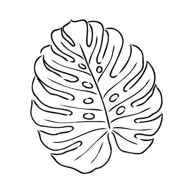 Exotische monstera continue eenlijnstekening handgemaakte zomer tropische blad op witte achtergrond minimal