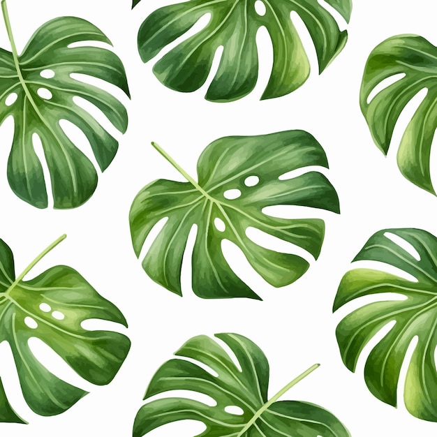 Exotische monstera naadloze patroon vector