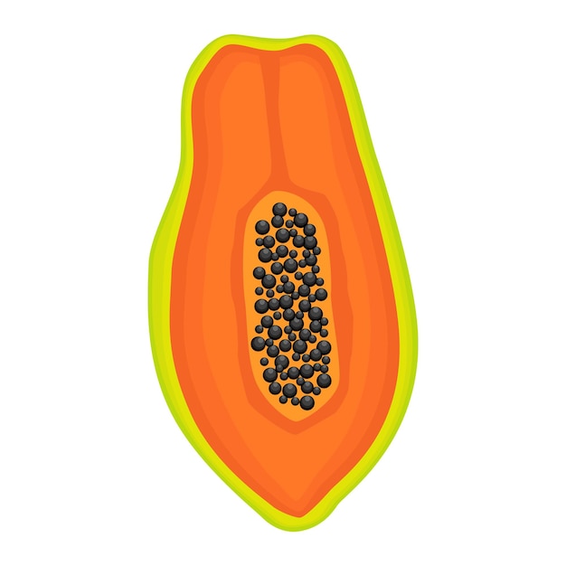 Exotische papaya veganistisch fruit vector platte geïsoleerde illustratie