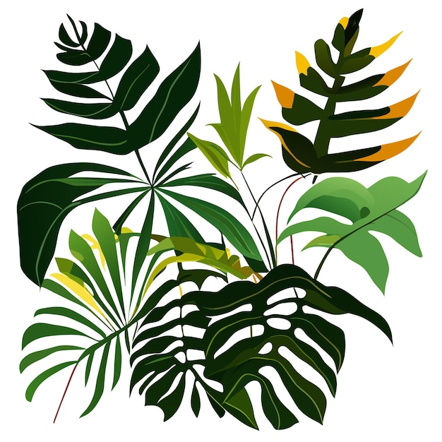 Vector exotische planten laten palmbladeren monstera achter op een afgelegen witte achtergrond