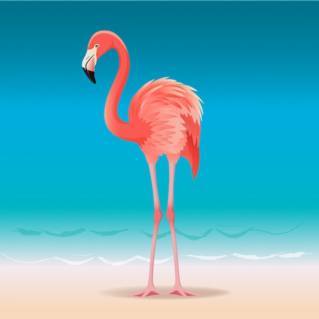 Exotische roze flamingo die op het hete de zomerstrand loopt.