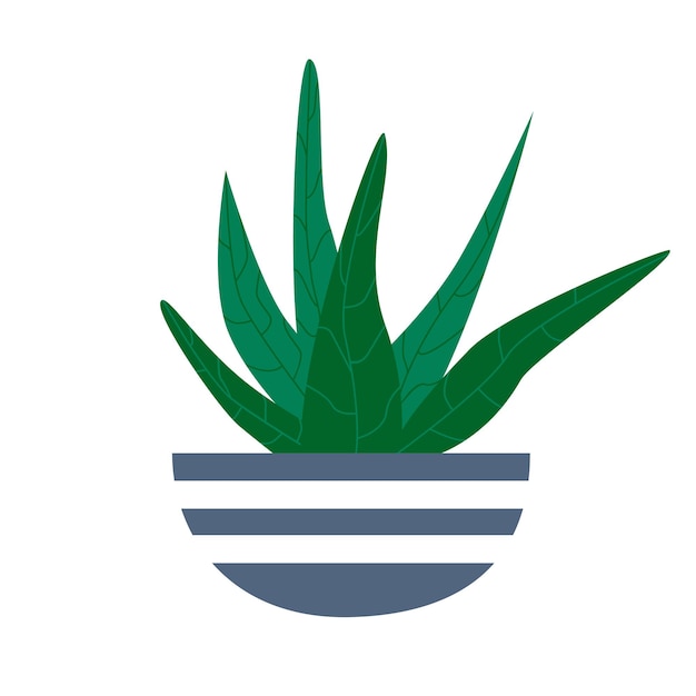 Exotische tropische kamerplant in een bloempot. Plat kleurrijke vectorillustratie.