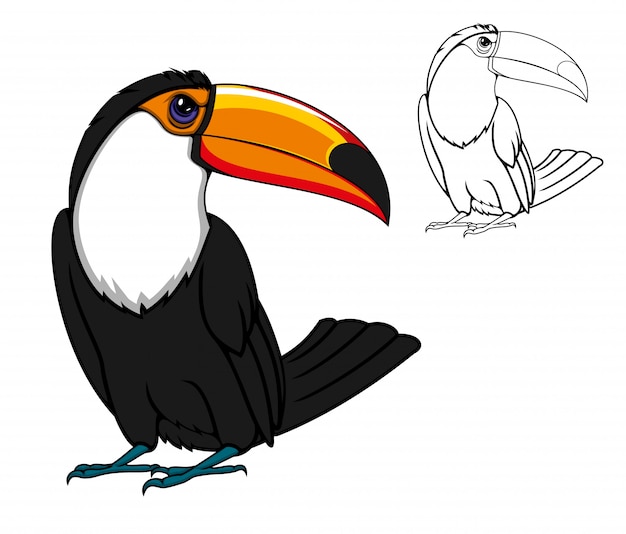 Vector exotische tropische toekanvogel, cartoon dier