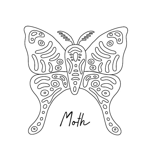 Exotische vlindermot Tropische vliegende insecten lijntekeningen vector hand getrokken geïsoleerde illustratie