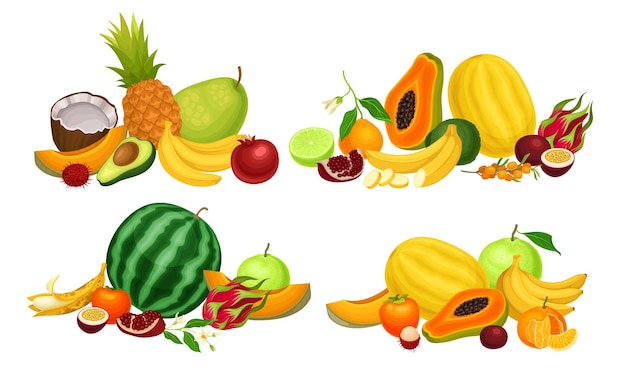 Exotische vruchten samenstelling met bananenbundel en papaya vector set