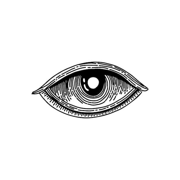 Vector an eye drawn on a white background with a black line around the eye