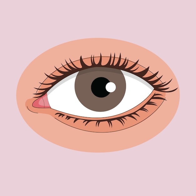 Vector eye illustration