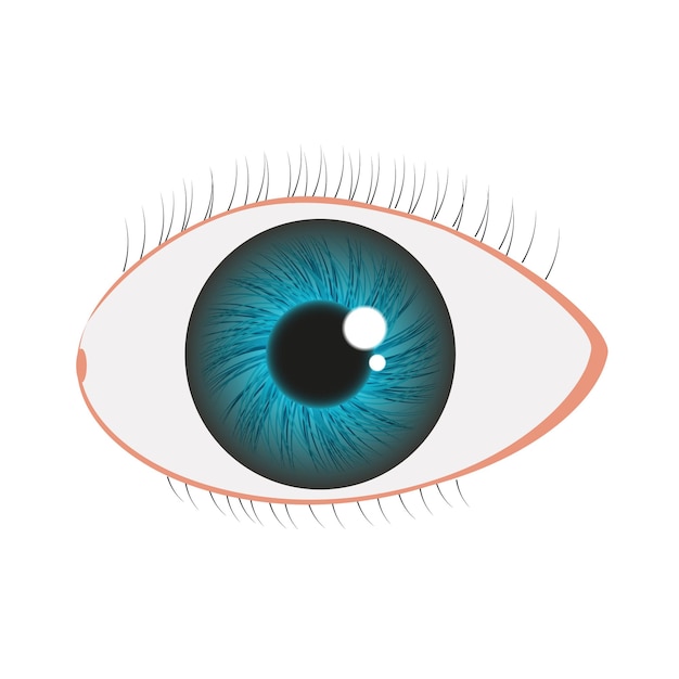 Eye iris in greenblue color