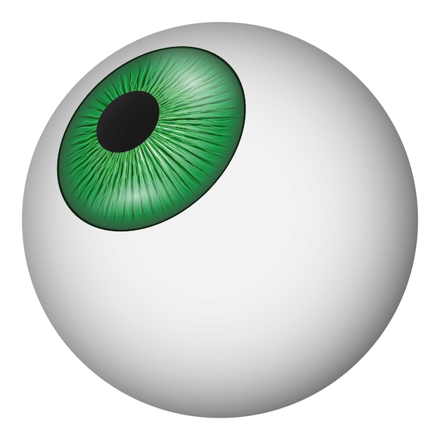 ウェブ用の眼球ベクトルアイコンの現実的なイラスト